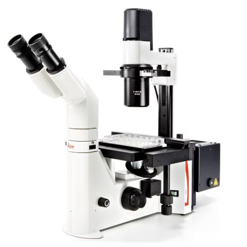 Microscopio óptico - DMIL  - Leica Microsystems GmbH - de inspección / de laboratorio / invertido