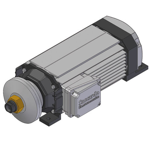 Motor de inducción - 0207 series - Nuova Mondial mec srl - AC / 220V / 400V