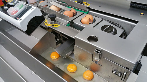 Cascadora de huevos - RZ series - Dion Engineering
