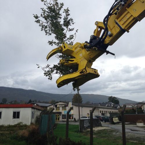 Cizalla forestal - PAT series - Toroloco Srl