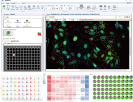 Software de análisis - CellPathfinder - YOKOGAWA Europe - de interfaz / para informes / de creación