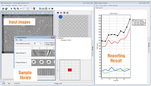 Software de análisis - CellActivision - YOKOGAWA Europe - de análisis de fase / de desarollo / de imagen