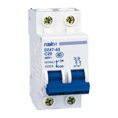 Disyuntor magnetotérmico - DZ47-63 series - Radin Electric Technology Co., lTD - AC / para sobrecargas / 3 polos