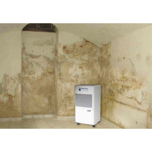 Deshumidificador refrigerante - DT 650 - Dantherm Group A/S - de aire / empotrable / móvil