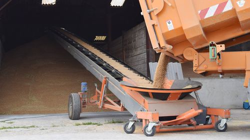 Transportador para productos a granel - SAUTEC - de banda / de manipulación / de carga