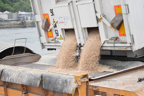 Descargador de productos a granel - SAUTEC - móvil de camiones