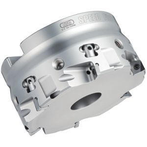 Fresa de dos cortes - FM series - BIG KAISER Precision Tooling Inc. - de plaquita / para planear / para hierro fundido