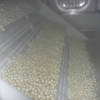 Línea de producción de queso - Mozzarella pearls - Almac S.r.l.