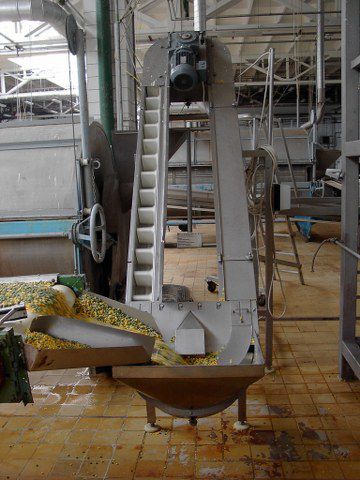 Elevador de cangilones de banda - Sweere - Food Processing Equipment BV - para productos a granel / para transportador