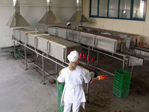 Horno de túnel - Thermohran Engineering JSC - de cocción / eléctrico / de acero inoxidable