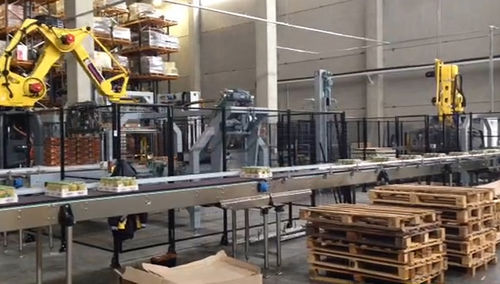 Paletizador-despaletizador robotizado - FL-PAL_DEPAL - F.B.L. Food Machinery S.r.l. - de paquetes / para la industria alimentaria