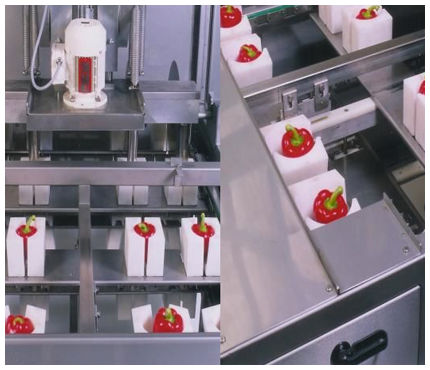 Cortadora de extremos de pimientos - Finis Foodprocessing Equipment B.V.