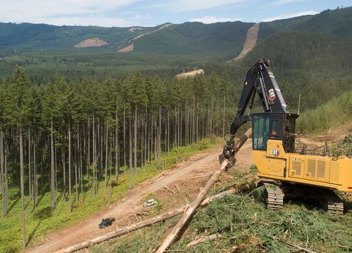 Excavadora intermedia - FM548  - Caterpillar Equipment - con orugas / diésel / forestal