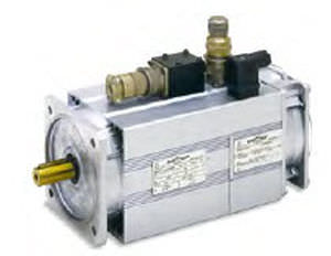 Servomotor asíncrono - QCAVS/QCAVP Sincrovert® - OEMER - AC