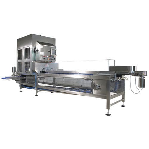 Cortadora para frutas - DF12 - DF24 - PND Fruit Processing Machinery - automática / de cuchillas / horizontal