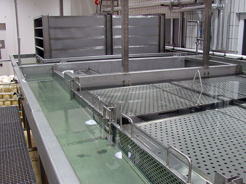 Máquina de salazón para queso - Perinox S.A.
