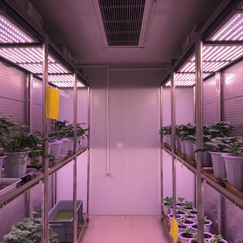 Cámara de pruebas de temperatura - WIPGC-01 - Fujian Jiupo Biotechnology Co., Ltd. - de humedad / vertical / de acero inoxidable