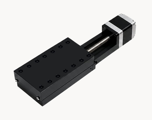 Módulo lineal de husillo de bolas - DMP 100 - Jiangsu DINGS' Intelligent Control Technology - compacto