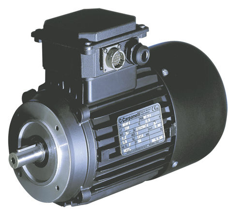 Servomotor asíncrono - MVS series - Carpanelli - AC