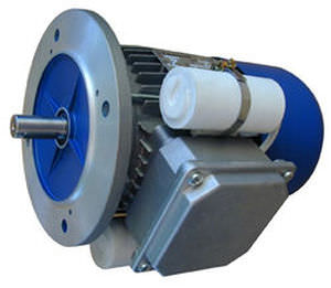 Motor asíncrono - MDC series - Carpanelli - AC / monofásico
