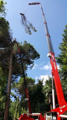 Minigrúa con orugas - XTJ 43+ - Palazzani industrie S.p.A. - telescópica / para obra