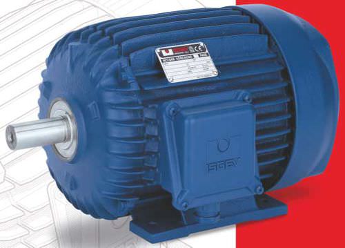 Motor asíncrono - ISGEV - AC / trifásico / 80 V