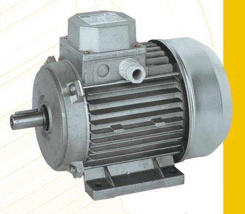 Motor asíncrono - AL series - ISGEV - AC / trifásico / 60 V