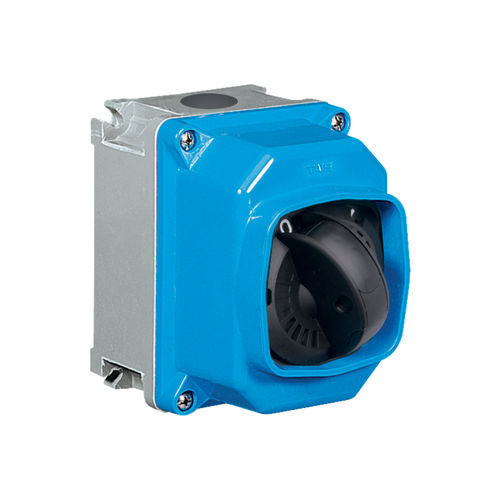 Seccionador rotativo - 292101 - Palazzoli S.p.A. - 2 polos / industrial / IEC