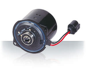 Motor síncrono - EVP - NIDEC MOTORS & ACTUATORS - DC / 110 V / 4 polos