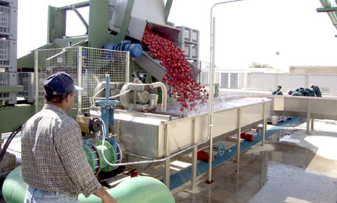 Transportador de banda - Ing.A.Rossi - de transferencia / con giro / para la industria alimentaria
