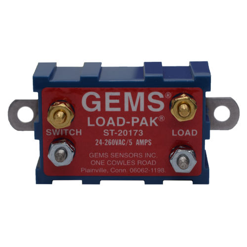 Relé programable compacto - 20173 - GEMS SENSORS & CONTROLS - integrado / salidas analógicas / salidas relé