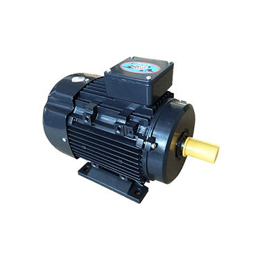 Motor de inducción - YUJ series - Gw industry - monofásico / 220V / IP55