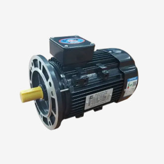 Motor de inducción - YSJ series - Gw industry  - trifásico / 380V / 220V