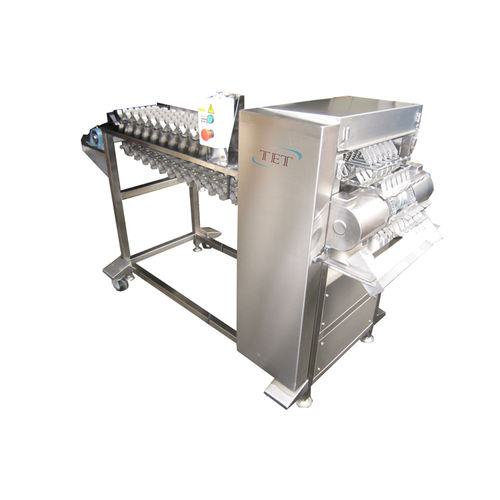 Máquina de corte de cuchilla - C-C100 - TET Co. Ltd - para productos alimentarios / para la industria alimentaria / en frío