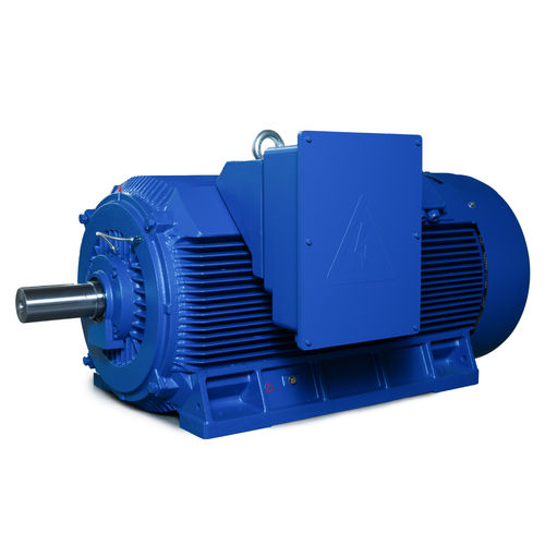 Motor de alta potencia - Y2 Series - Shandong Sunvim Motor Co., Ltd. - asíncrono / trifásico / 6.000 V