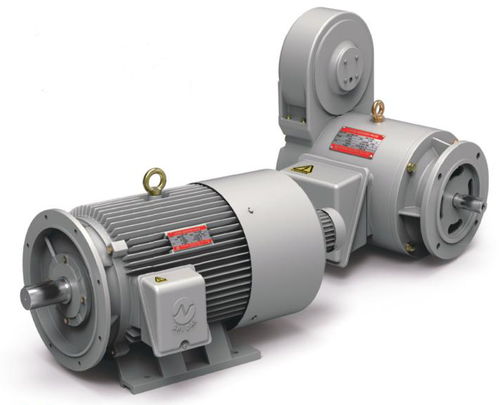 Motor de inducción - Shidae Electric Co.,Ltd. - trifásico / 4 polos / 6 polos