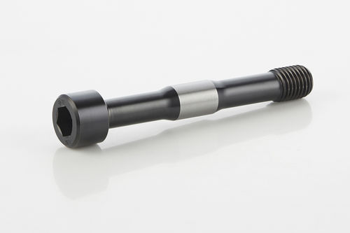 Perno de cabeza hueca - 0026 - Blaj Fasteners