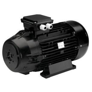 Motor con doble brida - iec 180 - Nicolini Motori - asíncrono / AC / compacto