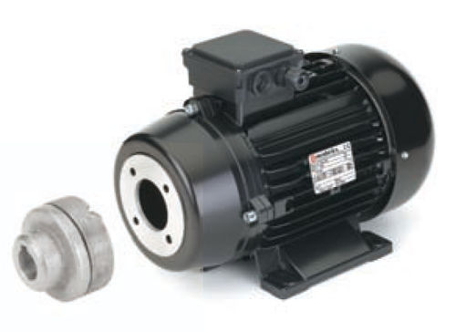 Motor asíncrono - 112 series  - Nicolini Motori - AC / trifásico / con eje hueco