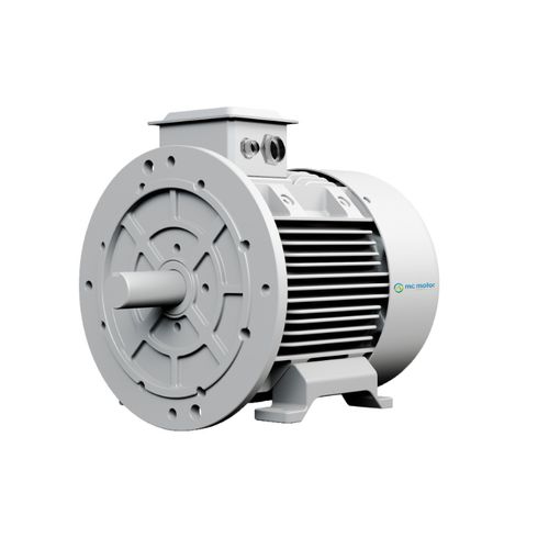 Motor brushless - SRPM210L8F22 - MC MOTOR TECHNOLOGY CO., LTD - AC / 400V / IP55