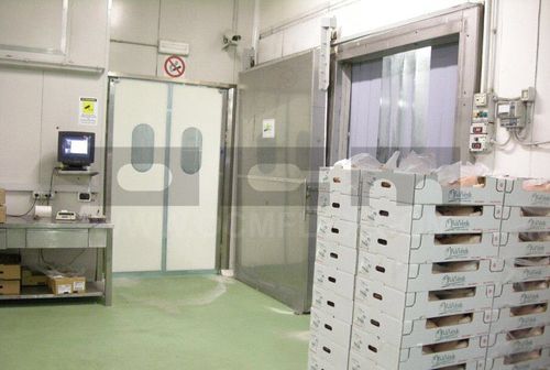 Puerta abatible - OCM Industrial Doors - de polietileno / para cámara frigorífica / para la industria alimentaria