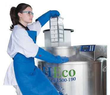 Congelador de laboratorio - MVE HEco™ series - CHARTINDUSTRIES - de acero inoxidable / criogénico / de almacenamiento