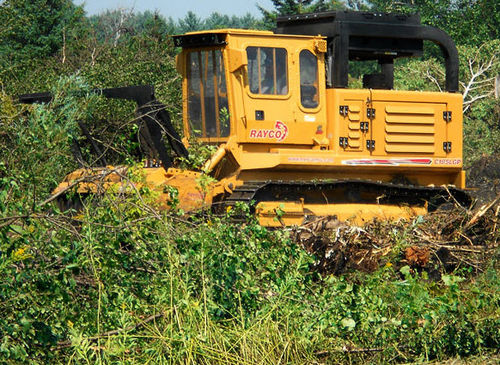 Brazo desbrozador forestal - 185 - 260 hp (138 - 194 kW) | C185, C260 - RAYCO