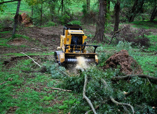 Brazo desbrozador forestal - 360hp (269kW) | T360 - RAYCO