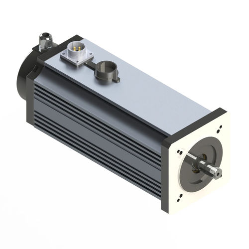 Motor brushless - M090-L - Electric Motor Power Pty Ltd - DC / con imán permanente / TENV