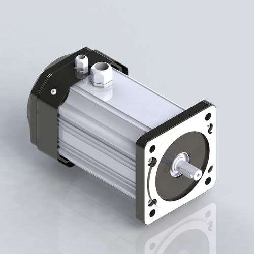 Motor BLDC - M099-75 - Electric Motor Power Pty Ltd - DC / 24 V / con imán permanente