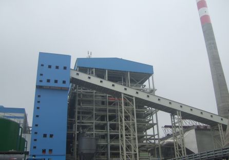Caldera de vapor - Subcritical CFB 135-330MW - Shanghai Electric Group Co., Ltd. - de carbón / de lecho fluidizado / de alta presión