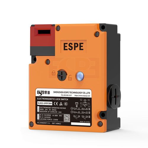 Interruptor de llave - SLM21 series - Shenzhen ESPE technology Co., LTD - multipolar / IP67 / montado en panel