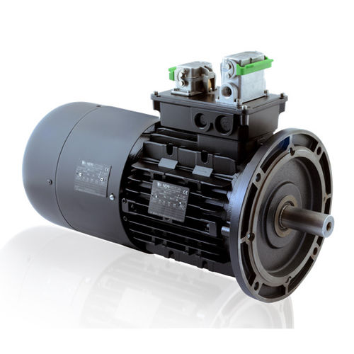 Motor para aerogenerador - Neri Motori - asíncrono / trifásico / 690 V