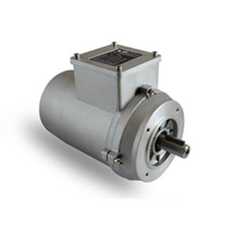 Motor de inducción - T series  - Neri Motori - trifásico / 400V / resistente a la corrosión